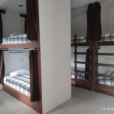 The All Inclusive Hostel - Food, Drinks And Transportation To The Beach And Cenotes 图卢姆 客房 照片