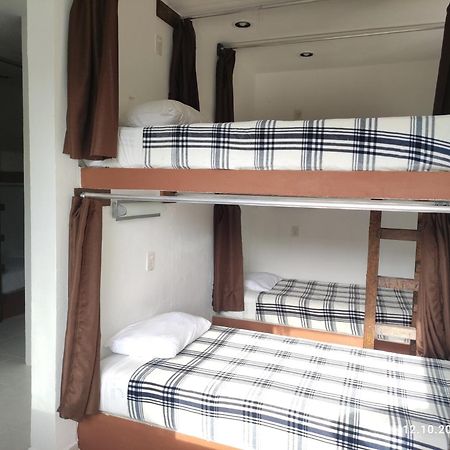 The All Inclusive Hostel - Food, Drinks And Transportation To The Beach And Cenotes 图卢姆 客房 照片